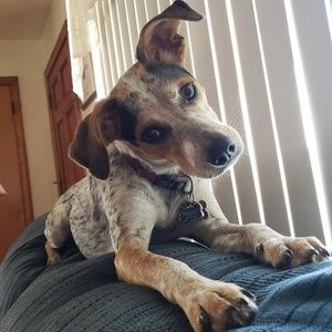 Meet your Posher, Courtney